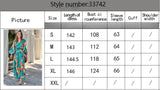 Women Printed Lapel Long Dress