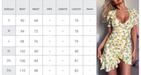 Women V Collar Print Ruffle Dress