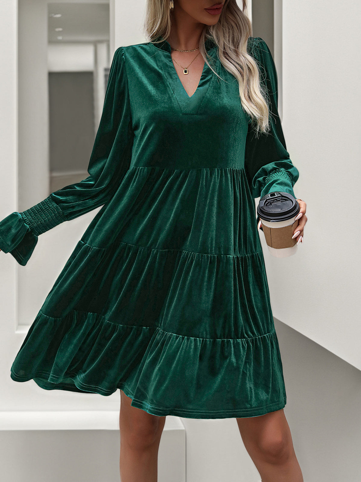 Woemn Long Sleeve Solid Color Velvet Dress