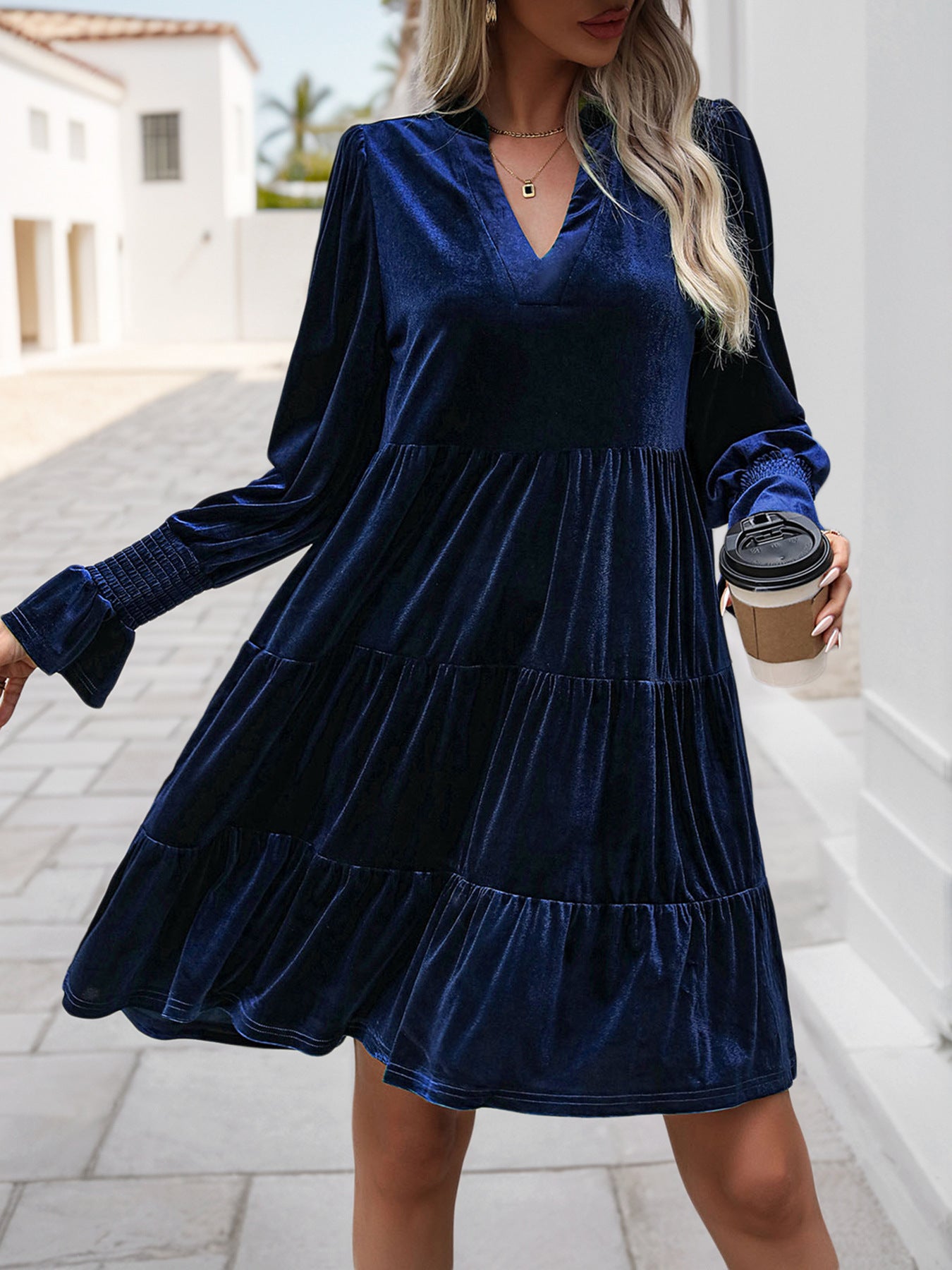 Woemn Long Sleeve Solid Color Velvet Dress