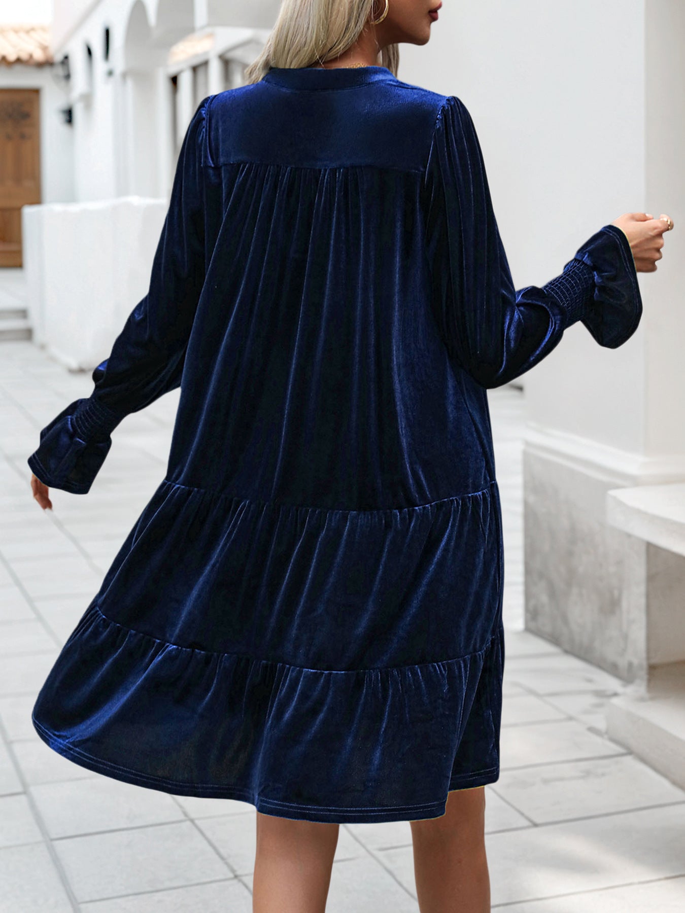 Woemn Long Sleeve Solid Color Velvet Dress