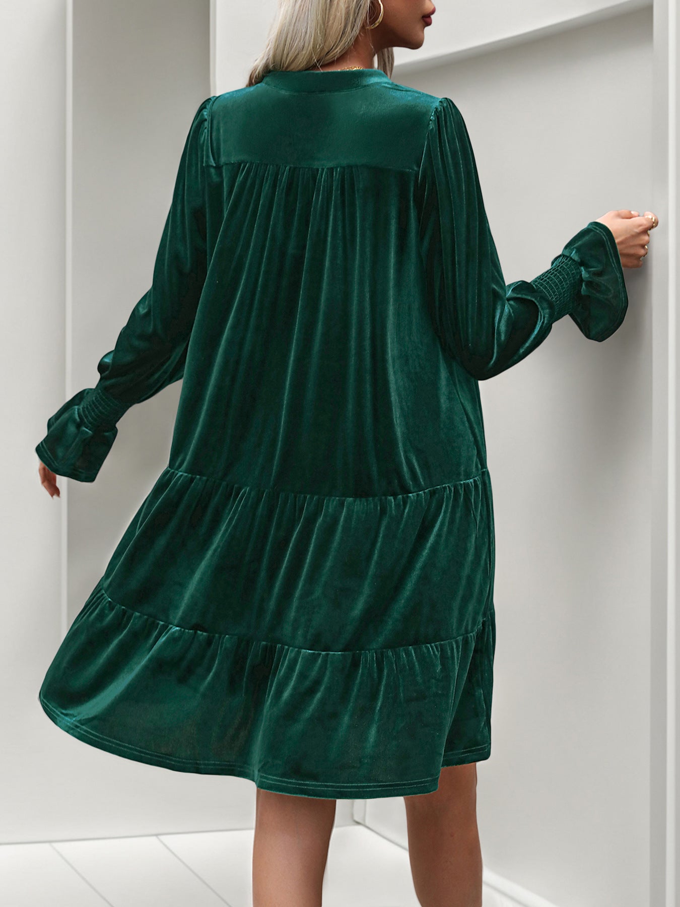 Woemn Long Sleeve Solid Color Velvet Dress
